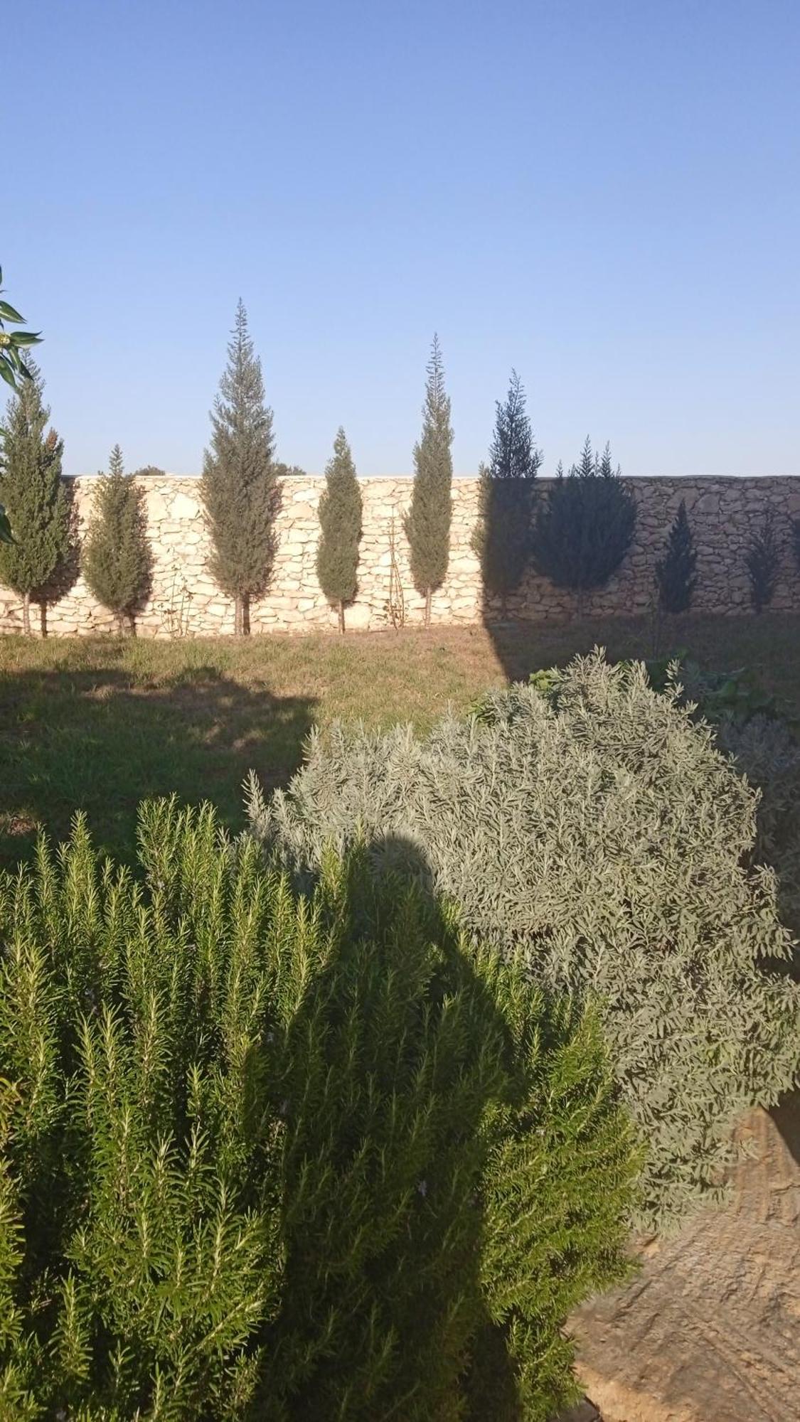 Villa Rabia Sidi Kaouki Exterior photo